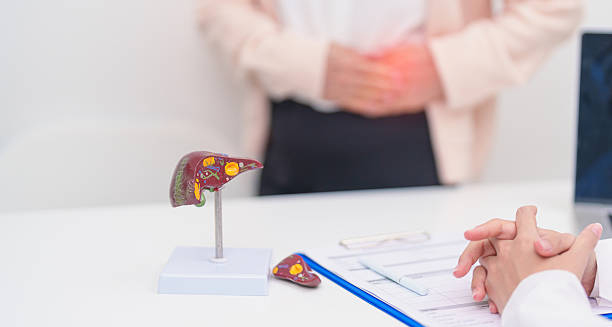 Medical consultation showing a liver and gallbladder model with a patient holding their abdomen