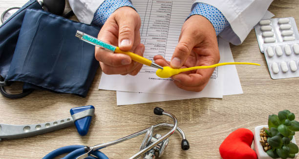 Doctor explaining male reproductive complications with anatomical model