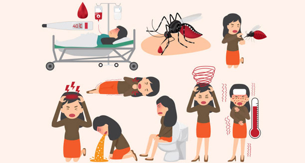 Illustration showing complications of Japanese Encephalitis including fever, vomiting, seizures, and neurological symptoms