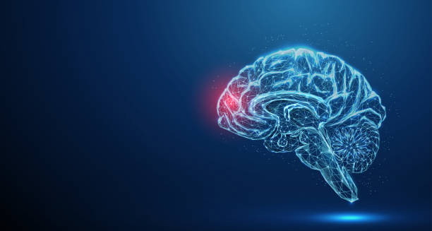 Digital illustration of brain highlighting frontotemporal lobe damage