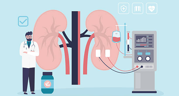 Illustration showing kidney diagnosis and dialysis setup for glomerulonephritis