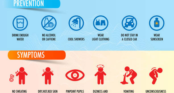 Infographic showing prevention and symptoms used in the diagnosis of heat exhaustion
