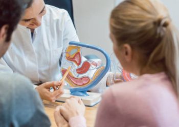 Fertility specialist explaining reproductive system to couple
