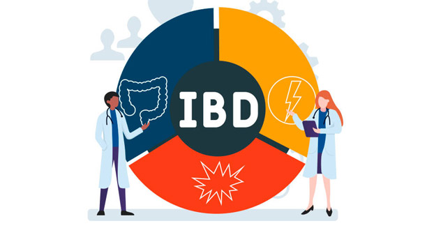 Doctors analysing IBD diagnosis data with digestive system illustrations