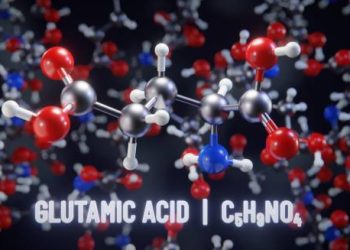 Molecular structure of glutamic acid related to Glutaric Aciduria Type 1