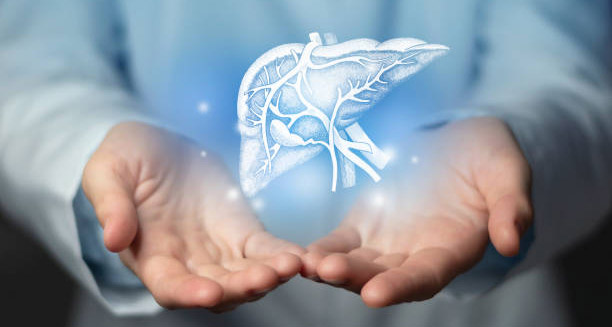 Doctor holding a glowing digital liver illustration, representing Hepatitis B awareness and liver health