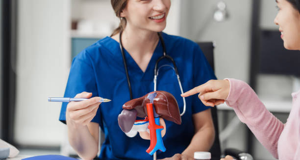 Healthcare professional explaining liver anatomy and hepatitis to a patient