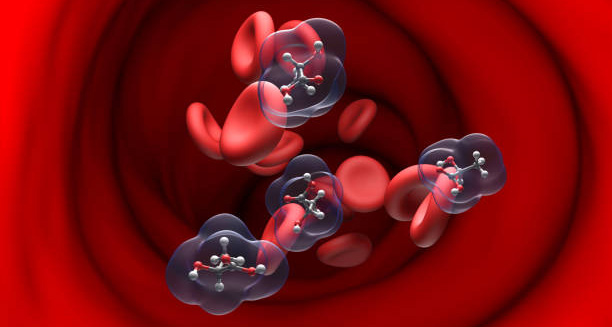 3D molecular representation of isovaleric acid molecules in the bloodstream, linked to Isovaleric Acidaemia