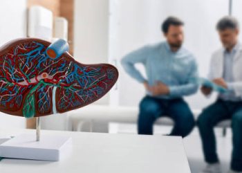 Liver anatomy model in doctor's office with patient consultation in background