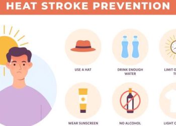 Infographic showing heatstroke prevention tips like hydration and sun protection
