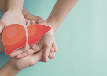 Hands holding liver illustration symbolising hepatitis prevention and liver care