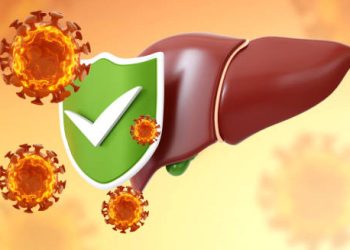 Healthy liver protected from hepatitis A virus with shield and checkmark