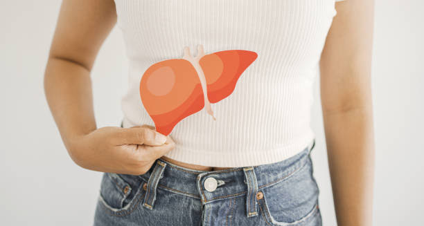 Woman holding liver illustration over abdomen to symbolise symptoms of Hepatitis B