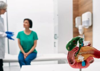 Doctor consulting a patient with a model of the gallbladder in the foreground