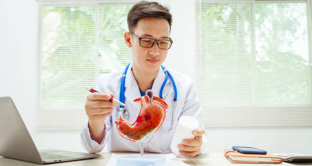 Doctor explaining gastritis treatment using stomach model