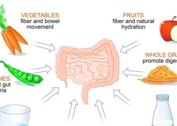 Diagram of digestive system showing dietary treatments for gastroparesis