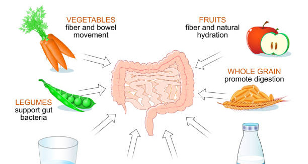Diagram of digestive system showing dietary treatments for gastroparesis