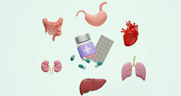 3D illustration of human organs with capsules and tablets used for glomerulonephritis treatment