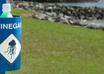Vinegar station near the ocean with a jellyfish warning symbol for sting treatment