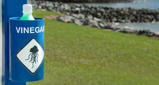 Vinegar station near the ocean with a jellyfish warning symbol for sting treatment