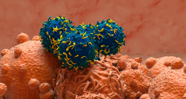 Causes of Keratosis Pilaris