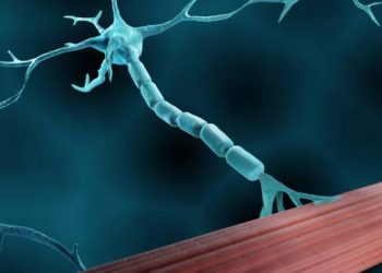 Causes of Lambert-Eaton myasthenic syndrome