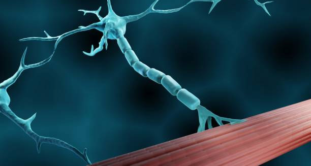 Causes of Lambert-Eaton myasthenic syndrome