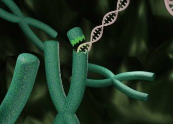 Causes of Learning Disabilities