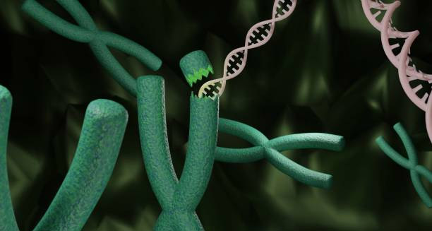 Causes of Learning Disabilities