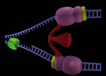 Causes of Long QT Syndrome