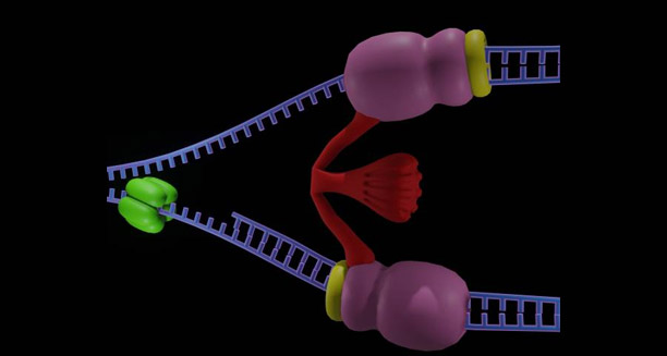 Causes of Long QT Syndrome