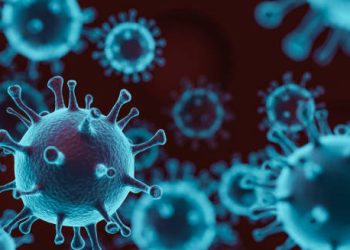 Complications of Low White Blood Cell Count