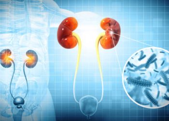 Medical illustration showing kidney infection diagnosis with bacteria magnification