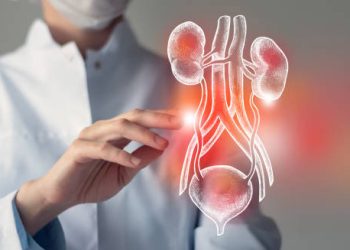 Doctor pointing at a digital illustration of inflamed kidneys indicating kidney infection