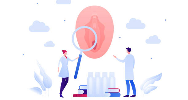 Overview of Labial Fusion