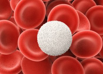 Overview of Low White Blood Cell Count