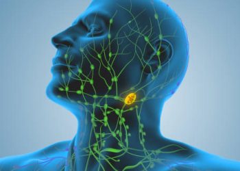 Overview of Lymphoma