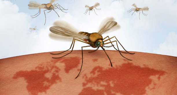 Overview of Malaria