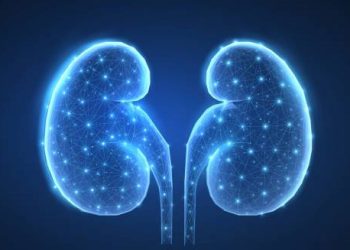 Digital illustration of kidneys highlighting treatment for kidney stones