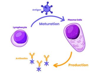 Causes of Mastocytosis