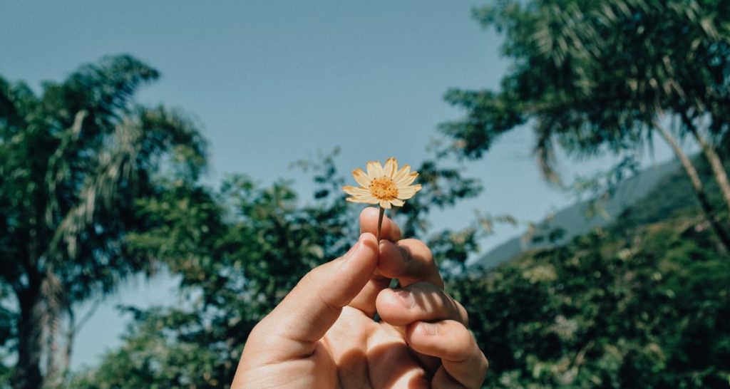 a few things my 30s taught me