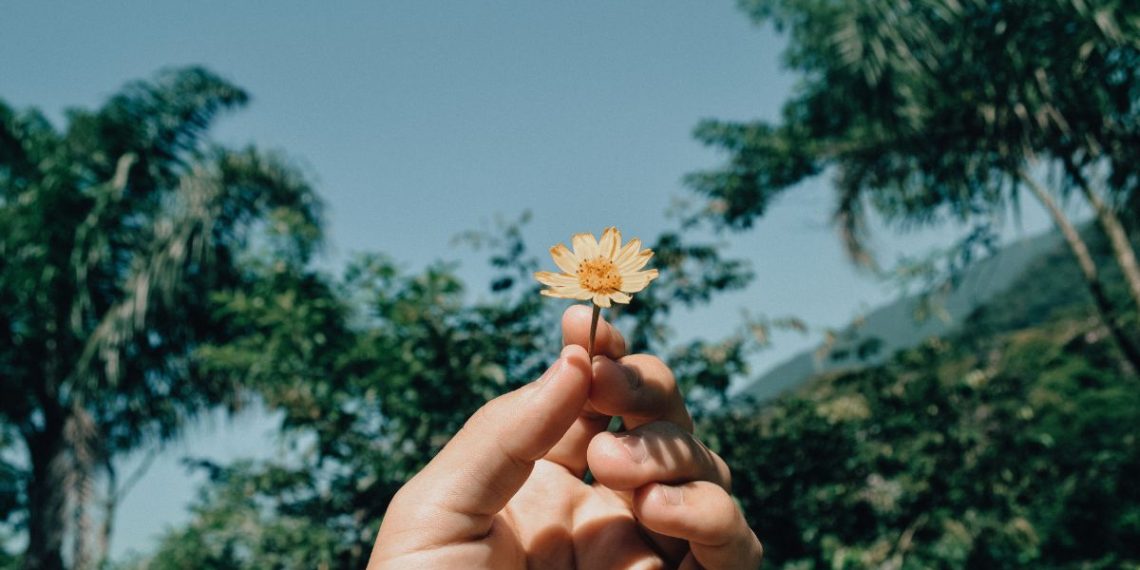 a few things my 30s taught me