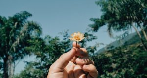 a few things my 30s taught me