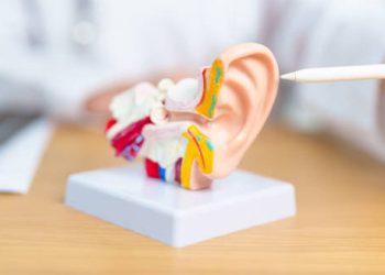 Causes of Menieres Disease