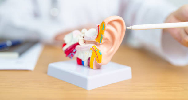 Causes of Menieres Disease