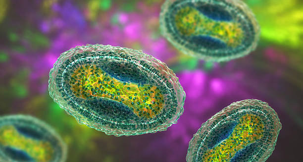 Causes of Molluscum Contagiosum